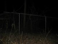 Chicago Ghost Hunters Group investigates Bachelors Grove (42).JPG